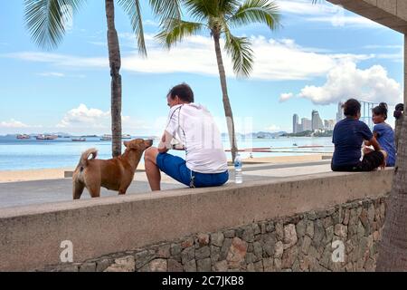 Cane che guarda con amore al suo proprietario rilassandosi su una parete di fronte al mare che si affaccia sulla spiaggia e l'oceano a Pattaya Thailandia Sud-Est asiatico Foto Stock