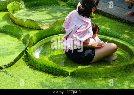 Taoyuan, Taiwan - 14 LUGLIO 2019: Molte persone vengono a visitare lo stagno Santa Cruz Waterlily a Guanyin, Taoyuan. Foto Stock