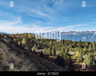 Sulla strada del sentiero in pietra tirolese, vista sul massiccio del Karwendel, in primo piano una pineta di pietra Foto Stock