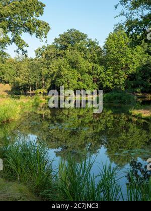 Muskauer Park, stagno, lago, patrimonio mondiale dell'UNESCO, Bad Muskau, alta Lusazia, Sassonia, Germania Foto Stock