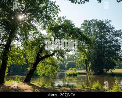 Muskauer Park, stagno, lago, patrimonio mondiale dell'UNESCO, Bad Muskau, alta Lusazia, Sassonia, Germania Foto Stock