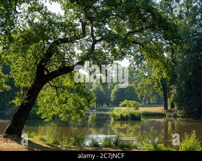 Muskauer Park, stagno, lago, patrimonio mondiale dell'UNESCO, Bad Muskau, alta Lusazia, Sassonia, Germania Foto Stock