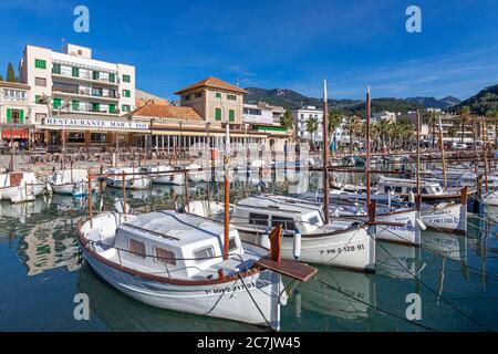 Barche da pesca nel porto di Port de Sóller, isola di Maiorca, Foto Stock