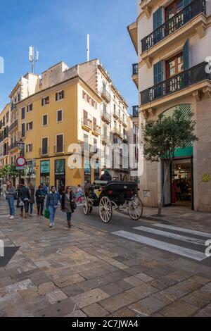 Zona pedonale, Carrer de Colom nel centro storico di Palma di Maiorca, isola di Maiorca, Foto Stock