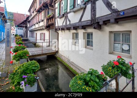 Achgasse, Bach, facciate di case, casa a graticcio, idillio, Blaubeuren, distretto di Alb-Donau, Alb sveva, Baden-Württemberg, Germania Foto Stock