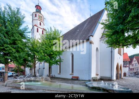 Stadtkirche, San Pietro e Paolo, Blaubeuren, Alb-Donau-Kreis, Alb Svevo, Baden-Württemberg, Germania Foto Stock