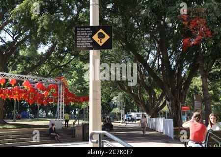 Il nuovo cartello vicino ad un ingresso di Elizabeth Street ad Hyde Park North a Sydney avverte del rischio di alberi che cadono durante o subito dopo la pioggia pesante e. Foto Stock