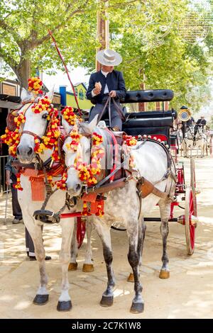 Feria del Caballo, carrozza, festival, costume tradizionale, tradizione, cultura, costumi, Jerez de la Frontera, Andalusia, Spagna, Europa Foto Stock