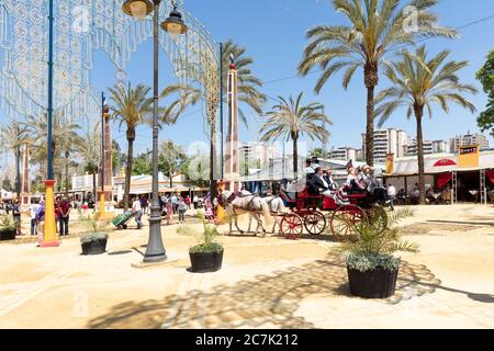 Feria del Caballo, carrozza, festival, costume tradizionale, tradizione, cultura, costumi, Jerez de la Frontera, Andalusia, Spagna, Europa Foto Stock