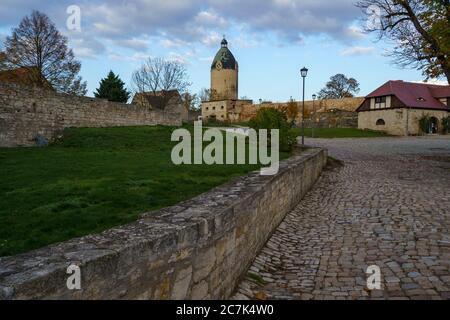 Castello di Neuenburg e vigneti nei pressi di Friburgo, Burgenlandkreis, Sassonia-Anhalt, Germania Foto Stock