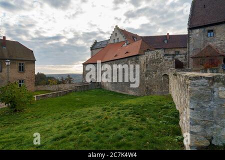 Castello di Neuenburg e vigneti nei pressi di Friburgo, Burgenlandkreis, Sassonia-Anhalt, Germania Foto Stock