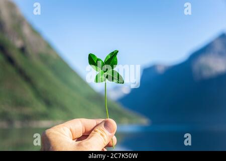 Trifoglio di quattro-foglia in una mano contro un paesaggio di fiordo, Foto Stock