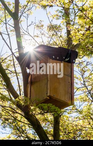 Box di annidamento in giardino Foto Stock