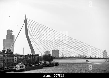 Immagine in scala di grigi di un ponte sospeso via cavo sull'acqua vicino edifici cittadini Foto Stock