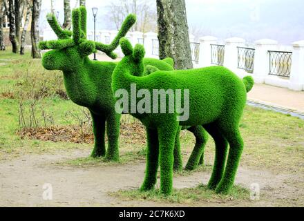 Deers creato da cespugli. Progettazione paesaggistica. Albero topiario Foto Stock