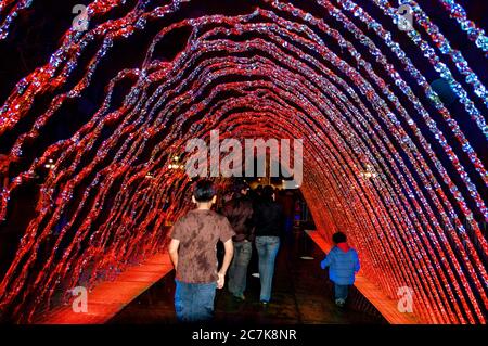 Lima, Perù - 15 ottobre 2008: Circuito magico dell'acqua (El circuito Magico del Agua), fontane d'acqua al Parco della Riserva. Persone che camminano nel Tunnel Fou Foto Stock