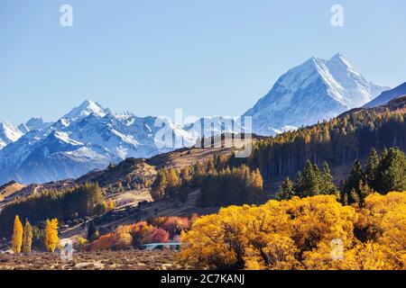 Stagione autunnale in Nuova Zelanda Foto Stock