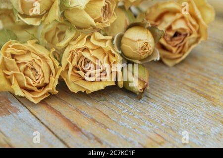 Rose secche su vecchio sfondo di legno. Fiori secchi rose Foto Stock