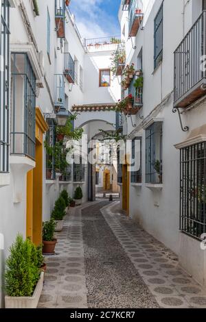 Gli appartamenti bianchi occupano il sito dell'ex casa del Indiano, risalente al XV secolo, in Plaza Ángel de Torres di Córdoba Foto Stock