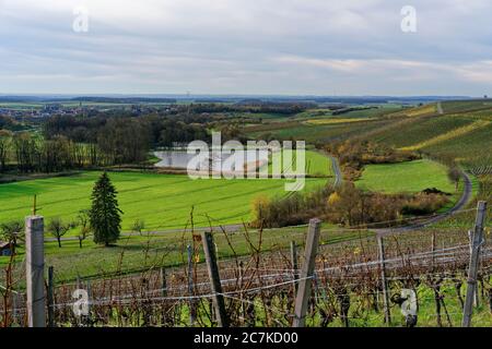 Vigneti sullo Stollberg - il vigneto più alto della Germania - vicino a Handthal nello Steigerwald, distretto di Schweinfurt, bassa Franconia, Franconia, Baviera, Germania Foto Stock