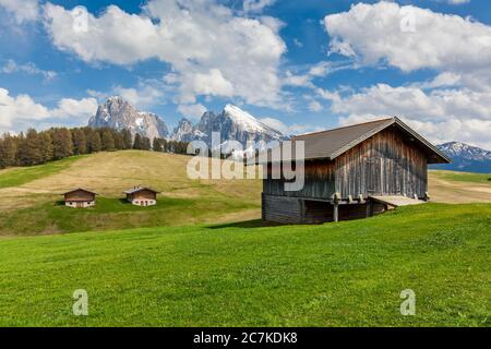 Alpe di Siusi - Alpe di Siusi, fienili caratteristici con Sassolungo / Langkofel e il Sassolopatto / Plattkofel sullo sfondo, Dolomiti, Kastelruth, Alto Adige, Italia Foto Stock