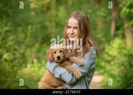 Ragazza su una passeggiata nella foresta con un cane, Mini Goldendoodle Foto Stock