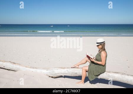 Donna bionda di mezza età seduta su un tronco d'albero nella spiaggia che legge un libro con il mare sullo sfondo Foto Stock