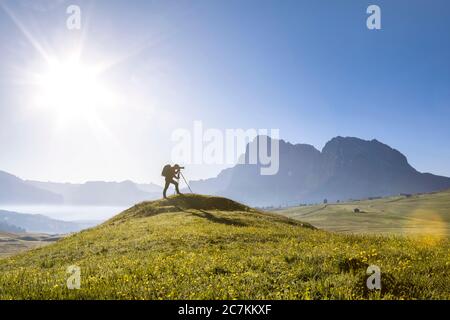 Fotografo in azione sul campo, Alpe di Siusi, Castelrotto, Dolomiti, Alto Adige, Italia Foto Stock