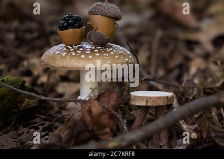 Fata scena del tè, con oggetti in miniatura e Amanita pantherina come tavolo Foto Stock