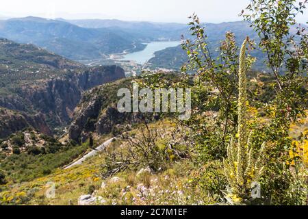 Vista dal Museo Homo Sapiens sul paesaggio, Ano Kera, Chersonisos, Creta, Grecia Foto Stock