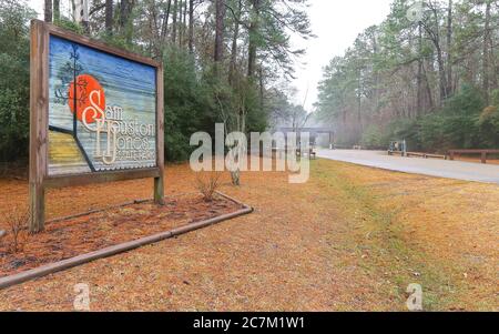 Lago Charles, Louisiana - 2018 febbraio: Un cartello di legno accoglie i visitatori sulla strada di ingresso al Sam Houston Jones state Park. Foto Stock