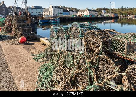 Le creelle di aragosta sul porto di Stornoway, Isola di Lewis, Ebridi esterne, Scozia Foto Stock