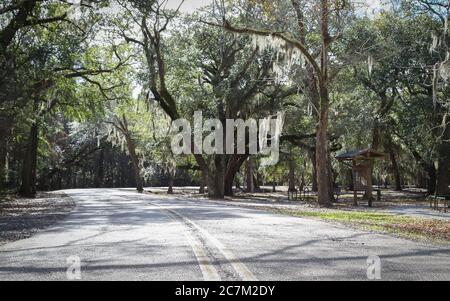 Fontainebleau state Park, Louisiana - Febbraio 2018: Grandi alberi fiancheggiano la strada d'ingresso al parco. Foto Stock