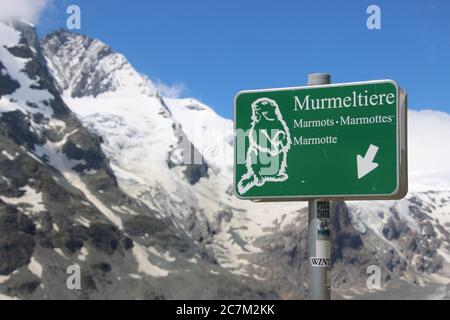 Vista sulla catena montuosa del Grossglockner e sul ghiacciaio. Un segno davanti ad esso punta alle marmotte che vivono qui. Austria, Europa. Foto Stock