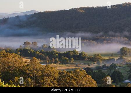 Una valle con bassa nebbia tra gli alberi vicino a Macksville nel New South Wales centro-orientale, Australia. Foto Stock