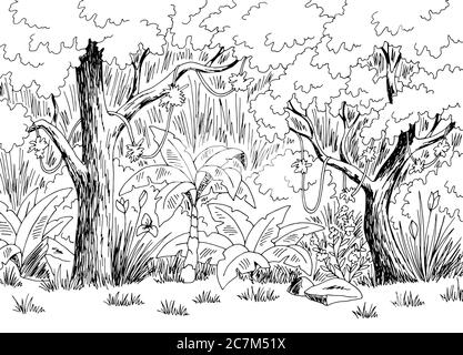 Giungla pioggia foresta grafica nero bianco disegno paesaggio vettore illustrazione Illustrazione Vettoriale