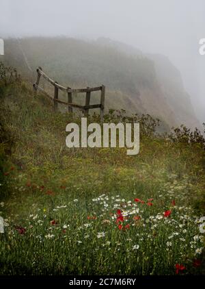 Recinzione di rickety sul promontorio in nebbia. Fiori selvatici, recinzione in legno antico vicino al bordo della scogliera, scena Moody formato ritratto Foto Stock