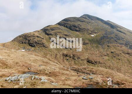 Vista della cima del crinale di ben Lomond da Bealach Buidhe sul sentiero Ptarmigan fino alla cima di questa montagna scozzese Foto Stock