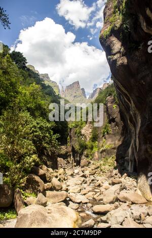 Ammira la gola di Tugela con il dente del Devils, un pinnacolo di basalto, sullo sfondo, il Royal Natal National Park, i monti Drakensberg, il Sudafrica Foto Stock