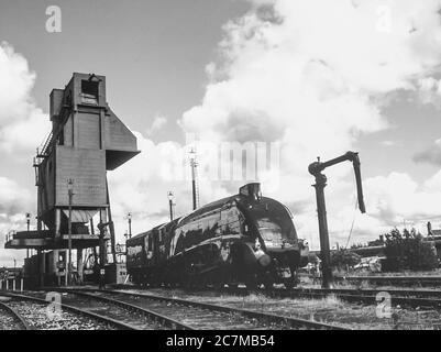 L'immagine è del famoso treno a vapore Sir Nigel Greasley presso lo storico centro storico del treno a vapore Carnforth, non lontano da Lancaster intorno al 1985. Steam Town è stata chiusa come attrazione turistica ed è ora la base della West Coast [Heritage] Railway. La stazione ferroviaria di Carnforth è stata utilizzata come set cinematografico per il film degli anni '40 A Brief Encounter. Foto Stock