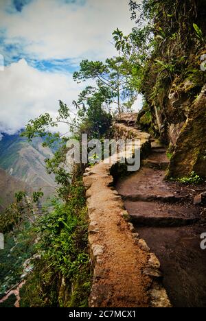 Sentiero Inca a lato della montagna, Machu Picchu, Cusco Regione, Perù, Sud America Foto Stock