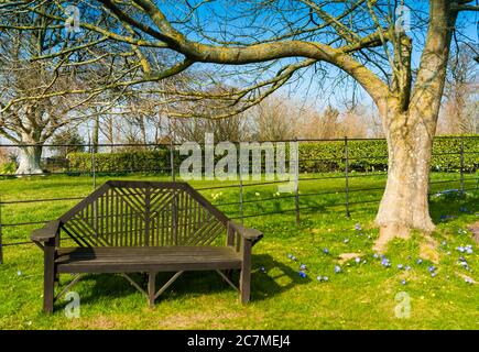 Un posto invitante nel tranquillo parco. Foto Stock