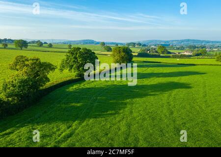 Primavera nel Devon vicino a Exeter, Devon, Inghilterra, Regno Unito, Europa Foto Stock