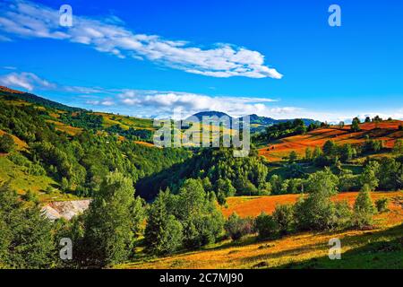 Splendido paesaggio di campagna con colline boscose e fienate su un prato rurale in montagna. Scena in Rogojel villaggio di Cluj County, romana Foto Stock