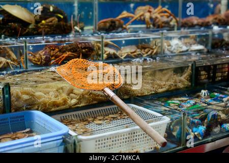 SCOOP rete poggiare su serbatoi con pesce fresco in un mercato di strada in Cina Foto Stock