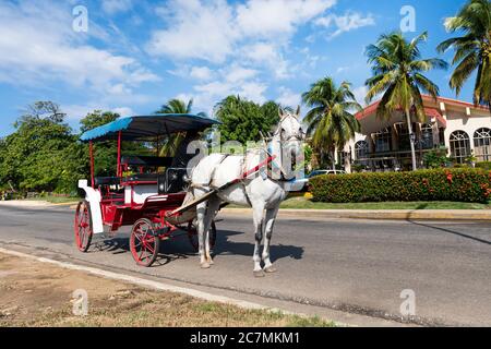 Turisti su un taxi a cavallo a Varadero Foto Stock