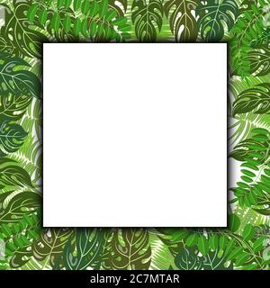 Foglie tropicali trendy natura vettore poster in un verde chiaro colori sui lati e bianco quadrato ombra poster al centro. Natura tropicale estiva Illustrazione Vettoriale