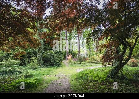 Arboreto dell'Università di Varsavia delle Scienze della vita nel villaggio di Rodzkie nella provincia di Polonia Foto Stock