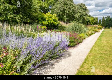 Il confine del Centenario a Sir Harold Hiller Gardens, Hampshire, Regno Unito durante luglio o estate con fiori colorati misti Foto Stock