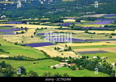 Paesaggio rurale della Provenza. Campo di lavanda e case coloniche vicino al villaggio di Sault Foto Stock